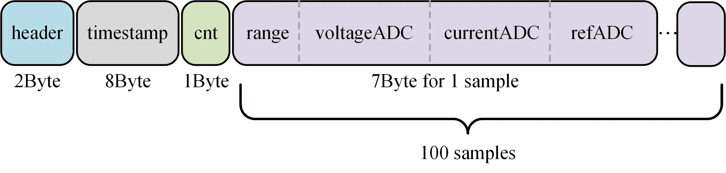 Data Packet Structure